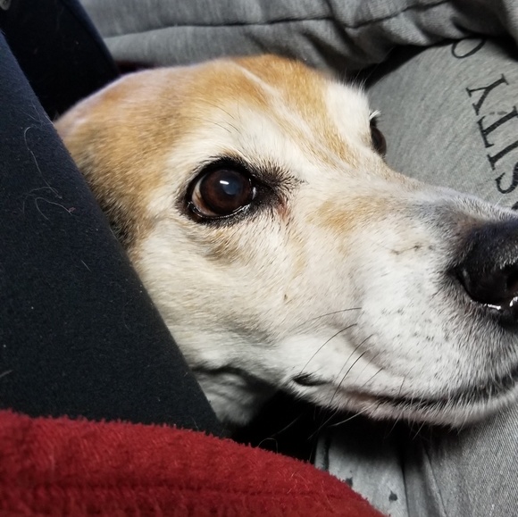 Meet your Posher, Kathleen - Picture 1 of 1